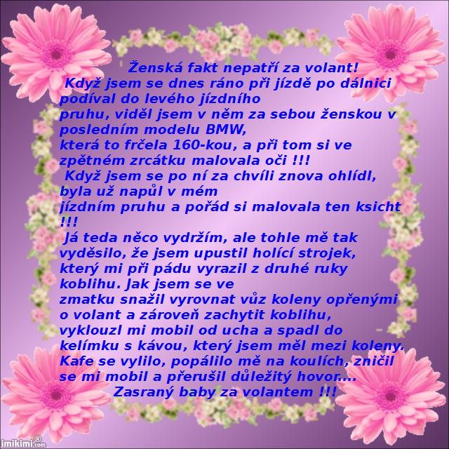 Zenska nepatri za volant.jpg